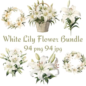 94 Buquê de pacote de lírio branco, lírio de cesta de presente, lírio com brilho dourado, lírio de guirlanda, lírio de guirlanda com aquarela png PNGFlow
