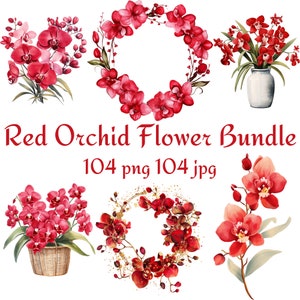104 rode orchideebloem bundel mand, boeket, vaas, orchideebloem, orchideekrans, orchideekrans met gouden glitter aquarel png JPG
