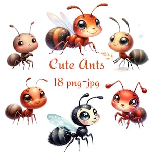 18 Süße Ameisen Clipart, Aquarell Süße kleine Frühling Insekten Clipart, Aquarell Süße Ameisen Hohe Qualität 300 Dpı PNG JPG Clipart