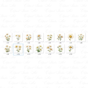 Puede incluir: Un conjunto de 15 ilustraciones digitales de margaritas blancas con centros amarillos. Las margaritas est&aacute;n dispuestas en una cuadr&iacute;cula sobre un fondo blanco.