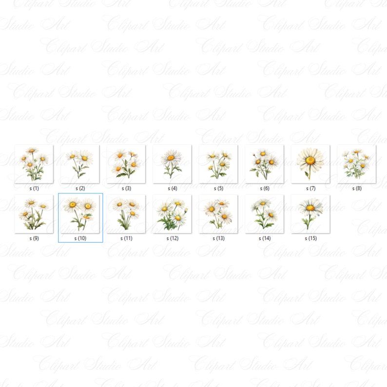 Puede incluir: Un conjunto de 15 ilustraciones digitales de margaritas blancas con centros amarillos. Las margaritas est&aacute;n dispuestas en una cuadr&iacute;cula sobre un fondo blanco.