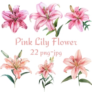22 Rosa Lilie Blume Clipart, Hochzeit Brautdusche Rosa Lilie Blume Clipart, Aquarell Rosa Lilie Blume Clipart PNG JPG