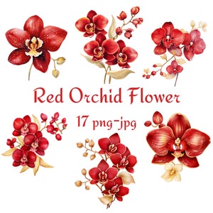 17 Clipart fleur d'orchidée rouge, shower de mariage nuptiale Clipart fleur d'orchidée rouge, aquarelle fleur d'orchidée rouge PNG JPG