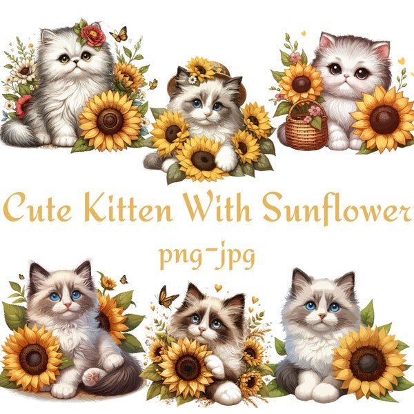 Cute Kitten With Sunflower Clipart, Cute Ragdoll Siamese Persian Kitten With Sunflower Clipart, Watercolor Cute Kitten 300 Dpı PNG JPG