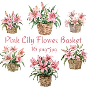 16 roze lelie bloemenmand clipart, bruiloft bruids douche roze lelie bloemenmand bloemen clipart, roze lelie bloemenmand clipart PNG JPG