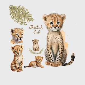 Niedliche Geparden Cub Aquarell Clipart, Baby Shower Grafiken, große Katze Kinderzimmer Dekor Wandkunst, Geburtstag Party Grafiken, afrikanische Safari Zoo Tier