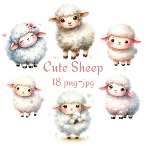 18 süße Schafe Clipart, hochwertige süße Schafe Clipart, Aquarell süße Schafe transparenter Hintergrund 300 Dpı PNG JPG Clipart