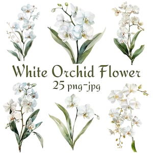 25 witte orchidee bloem clipart, bruiloft bruids douche witte orchidee bloem clipart, aquarel witte orchidee bloem PNG JPG