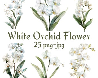 25 White Orchid Flower Clipart, Wedding Bridal Shower White Orchid Flower Clipart, Watercolor White Orchid Flower PNG JPG