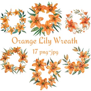 17 Clipart De Coroa De Lírio Laranja, Chá De Panela De Casamento Clipart De Coroa De Lírio Laranja, Coroa De Lírio Laranja Em Aquarela PNG JPG