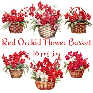16 rode orchidee bloemenmand clipart, bruiloft bruids douche rode orchidee bloemenmand clipart, rode orchidee bloemenmand PNG JPG