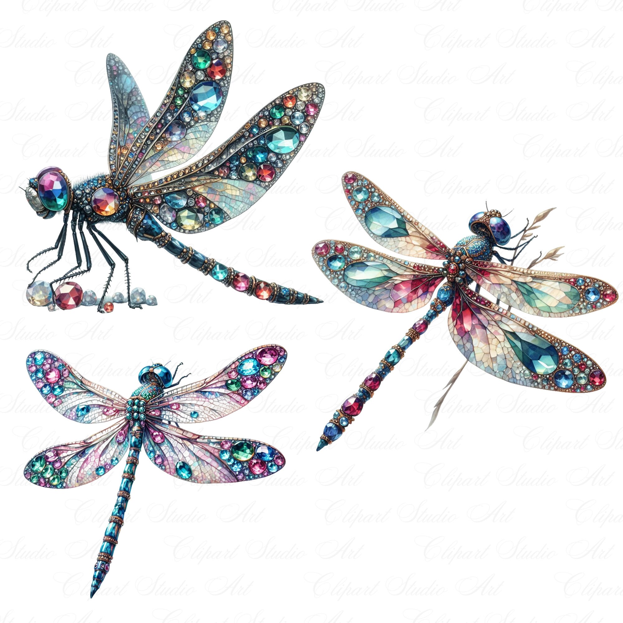 19 Jeweled Dragonflies Clipart, Dragonfly Illustration With Transparent ...