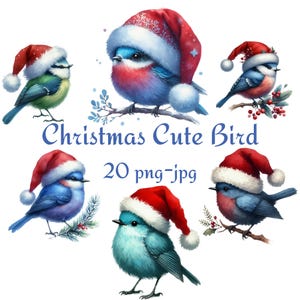 20 Clipart oiseau mignon Noël, oiseau mystique Santa Hat aquarelle Clipart, bonne année coeur haute qualité 300 Dpı PNG JPG Clipart