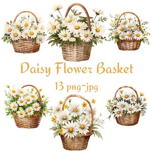 13 madeliefje bloemenmand clipart, bruiloft bruids douche madeliefje bloemenmand clipart, aquarel madeliefje bloemenmand PNG JPG