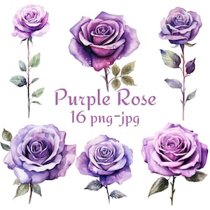 16 lila Rose Clipart, Hochzeit Brautdusche lila Rose Blumen Clipart, Aquarell Blume lila Rose PNG JPG