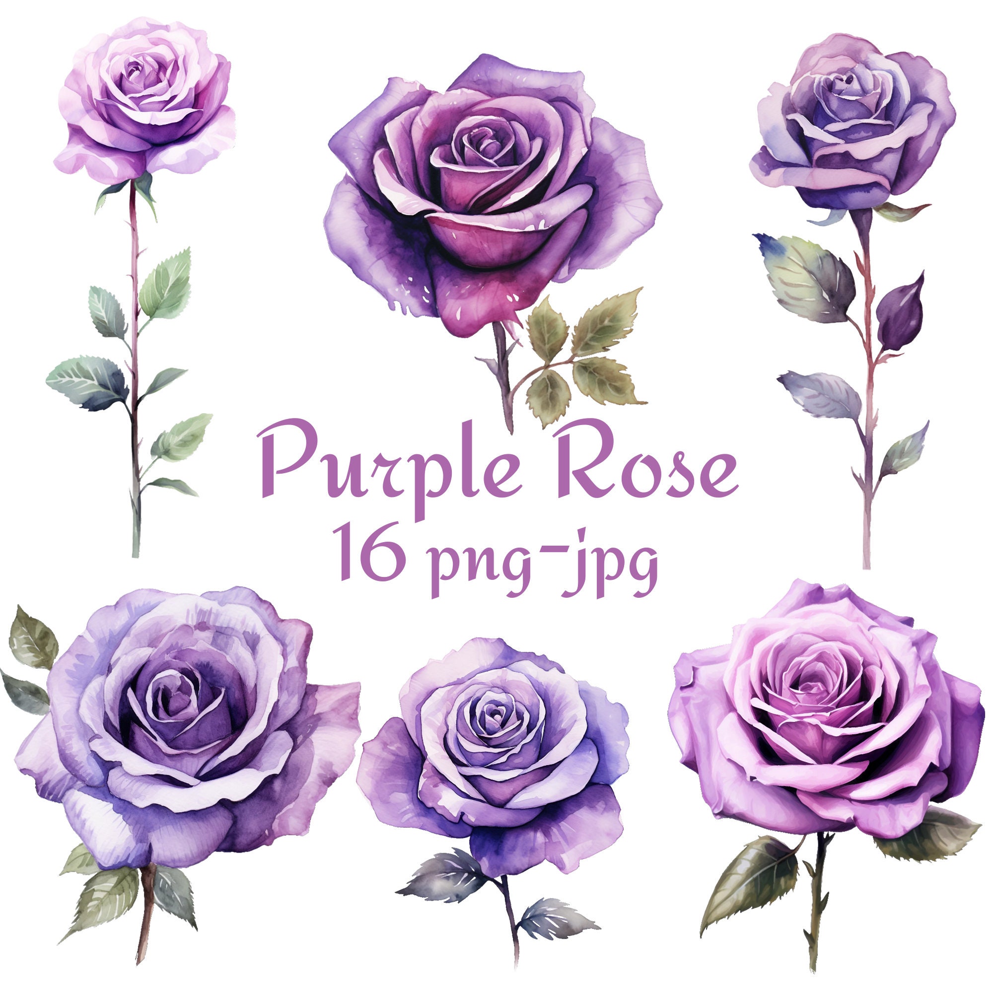 16 Purple Rose Clipart, Wedding Bridal Shower Purple Rose Flowers Clipart, Watercolor Flower Purple Rose PNG JPG