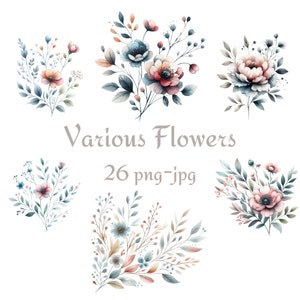 26 Clipart de flores diversas, clipart de flores diversas em aquarela, fundo transparente de alta qualidade de várias flores 300 Dpı PNG JPG Clipart