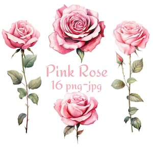 16 Clipart Rose Rose, Shower de mariée nuptiale de mariage Clipart fleurs Rose Rose, aquarelle Rose Rose Clipart PNG JPG