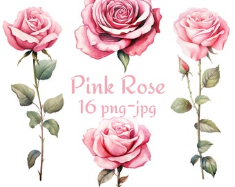 16 imágenes prediseñadas de rosa rosa, imágenes prediseñadas de flores de rosa rosa de boda, imágenes prediseñadas de rosa rosa de acuarela PNG JPG