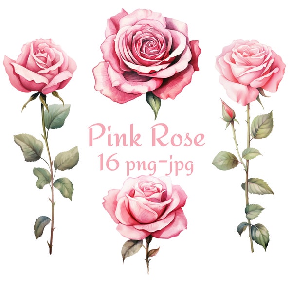 16 Pink Rose Clipart, Wedding Bridal Shower Pink Rose Flowers Clipart, Watercolor Pink Rose Clipart PNG JPG