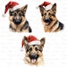 Christmas Cute German Shepherd Dog Clipart, Watercolor Christmas Dog ...
