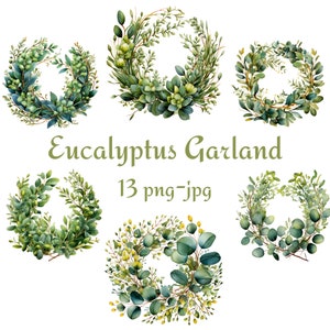 13 Clipart De Guirlanda De Eucalipto De Ouro Verde, Clipart De Eucalipto E Grinalda De Ouro Em Aquarela, Clipart De Coroa De Folhas De Ouro De Eucalipto PNG JPG