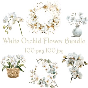 100 witte orchideebundel, mand, orchideeboeket, orchideebloem, orchideevaas, witte orchideekrans, orchideekrans met gouden glitter, png JPG