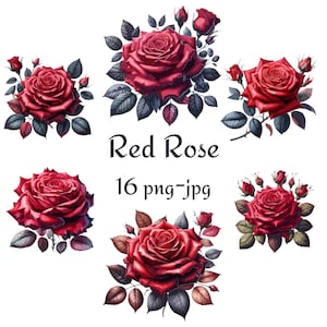 16 Valentine&#39;s Day Red Rose Watercolor Clipart, Valentine&#39;s Day Red Rose High Quality Clipart, Watercolor Red Rose 300 Dpı PNG JPG Clipart