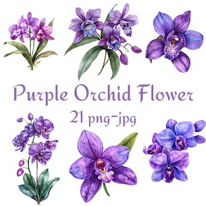 21 Clipart De Flor De Orquídea Roxa, Chuveiro De Noiva De Casamento Clipart De Flor De Orquídea Roxa, Flor De Orquídea Roxa Aquarela PNG JPG
