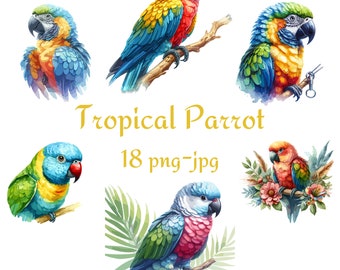 18 Tropical Parrot Clipart, Tropical Birds Exotic Parrot Clipart, Watercolor Parrot Transparent Background 300 Dpı PNG JPG Clipart