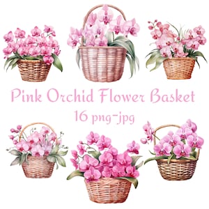 16 Rosa Orchidee Blumenkorb Clipart, Hochzeit Brautdusche Rosa Orchidee Blumenkorb Clipart, Rosa Orchidee Blumenkorb PNG JPG