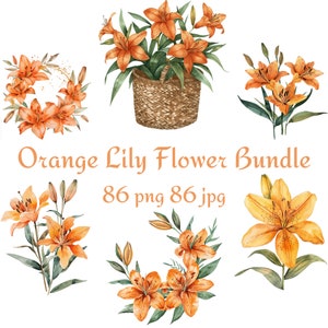 86 Orange Lilie Blumenbündel Bouquet, Geschenkkorb Lilie, Lilie mit goldenem Glitzer, Kranz Lilie, Kranz Lilie mit Aquarell PNG JPG