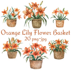 20 Orange Lilie Blumenkorb Clipart, Hochzeit Brautparty Orange Lilie Blumenkorb Clipart, Aquarell Orange Lilie Blumenkorb PNG JPG