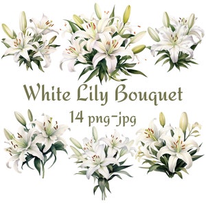 14 weiße Lilien Bouquet Clipart, Hochzeit Brautdusche weiße Lilien Bouquet Blumen Clipart, Aquarell weiße Lilien Bouquet Clipart PNG JPG