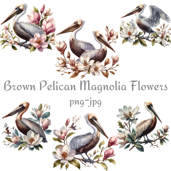 Brown Pelican Magnolia Flowers Clipart, Louisiana Brown Pelican Magnolia Flowers Watercolor Clipart, Watercolor 300 Dpı PNG JPG Clipart