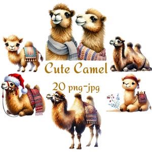 20 Clipart di cammelli carini, Clipart di cammelli di Natale, Cappello di Babbo Natale di cammello, Animali carini, Acquerello di cammello del deserto 300 Dpı PNG JPG