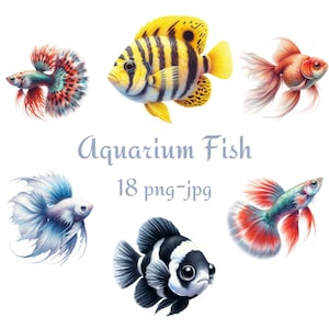 18 Aquarienfische Clipart, Bunte Fische Clipart, Aquarell Aquarienfische Hochwertiger transparenter Hintergrund 300 Dpı PNG JPG Clipart