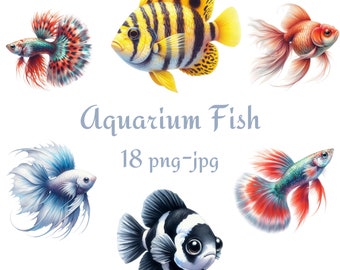 18 Aquarium Fish Clipart, Colorful Fish Clipart, Watercolor Aquarium Fish High Quality Transparent Background 300 Dpı PNG JPG Clipart
