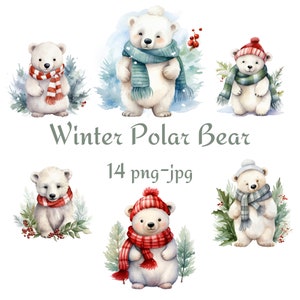 14 Christmas Winter Polar Bear Clipart, North Pole Christmas Clipart, Watercolor Polar Bear Transparent Background 300 Dpı PNG JPG Clipart