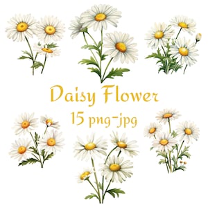 15 Daisy Flower Clipart, Wedding Bridal Shower Daisy Flower Clipart, Watercolor Daisy Flower Clipart PNG JPG
