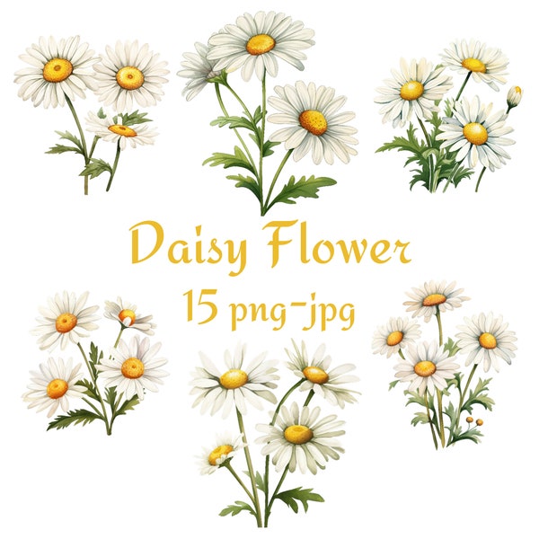 15 Daisy Flower Clipart, Wedding Bridal Shower Daisy Flower Clipart, Watercolor Daisy Flower Clipart PNG JPG