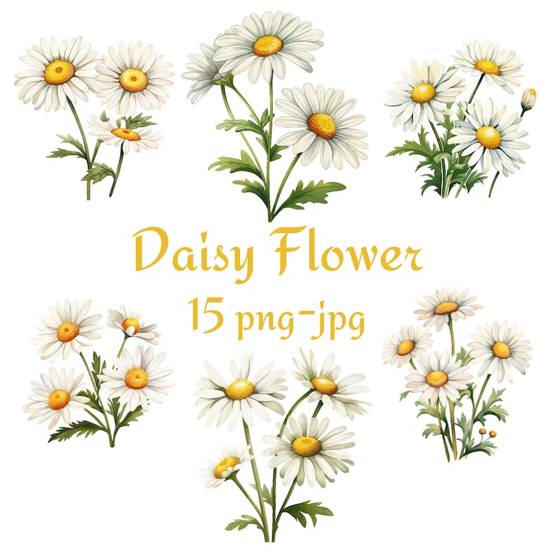 Puede incluir: Una ilustraci&oacute;n digital de 15 margaritas blancas con centros amarillos. Las margaritas est&aacute;n dispuestas en varios grupos y se colocan sobre un fondo blanco. El texto "Daisy Flower 15 png-jpg" est&aacute; escrito en letras doradas debajo de las margaritas.