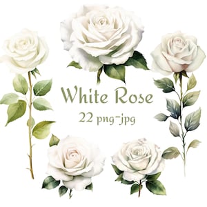 22 witte roos clipart, bruiloft bruids douche witte roos bloemen clipart, aquarel witte roos bloem clipart PNG JPG