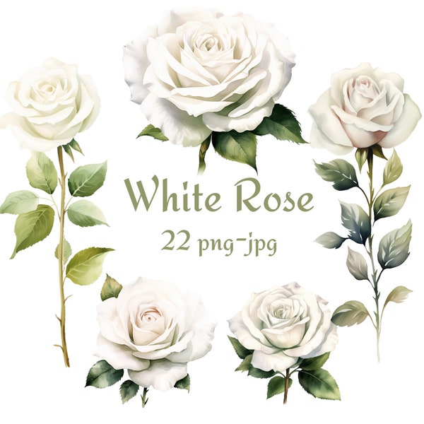 22 White Rose Clipart, Wedding Bridal Shower White Rose Flowers Clipart, Watercolor White Rose Flower Clipart PNG JPG