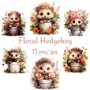 15 Clipart hérisson floral mignon, clipart floral bébé hérisson, aquarelle hérisson floral mignon fond Transparent 300 Dpı PNG JPG