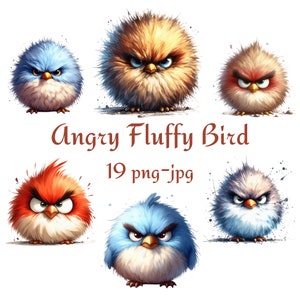 19 Angry Fluffy Bird Clipart, Grumpy Birds Clipart, Aquarela Angry Fluffy Bird Fundo Transparente 300 Dpı PNG JPG Clipart
