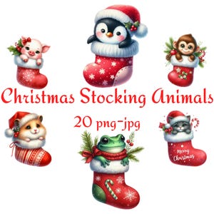 20 Clipart animaux de bas de Noël, cadeau de nouvel an des cliparts, joyeuses fêtes aquarelle bas de Noël des cliparts animaux 300 Dpi PNG JPG
