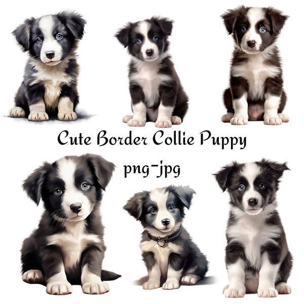 Cute Border Collie Puppy Clipart, Cute Border Collie Watercolor Clipart, Cute Dog Portrait Puppy Clipart, Cute Puppies Watercolor Clipart