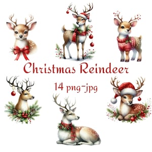 14 Weihnachten Rentier Clipart, Waldtiere Clipart, Aquarell Weihnachten Rentier transparenter Hintergrund 300 Dpı PNG JPG Clipart