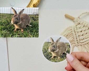 CUSTOM pet sticker | Pet sticker sheet | Personalized | waterproof | Glossy | hydroflask